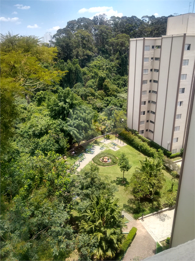 Venda Apartamento São Paulo Jardim Taquaral REO1039636 35