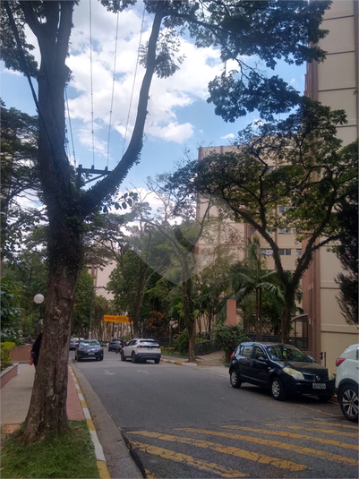 Venda Apartamento São Paulo Jardim Taquaral REO1039636 41