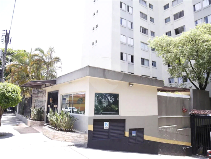 Foto REO1039759