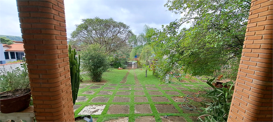 Foto REO1039781