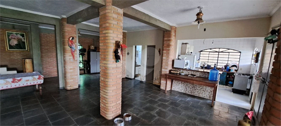 Foto REO1039781