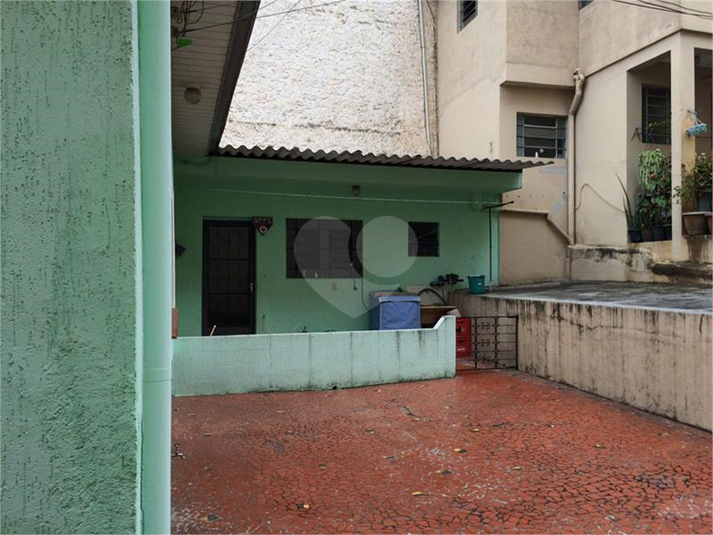Foto REO1039808