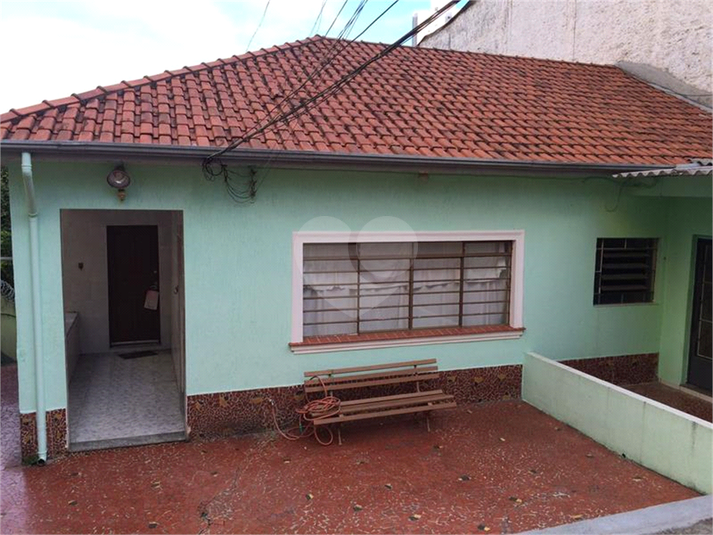 Foto REO1039808