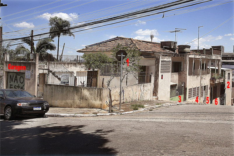 Foto REO1039860