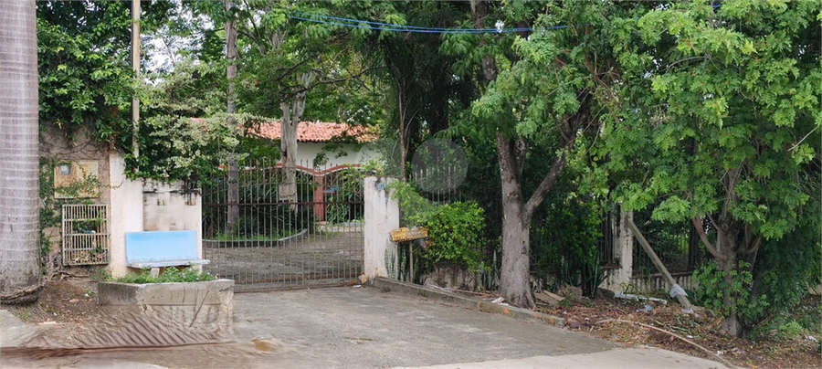 Foto REO1039917