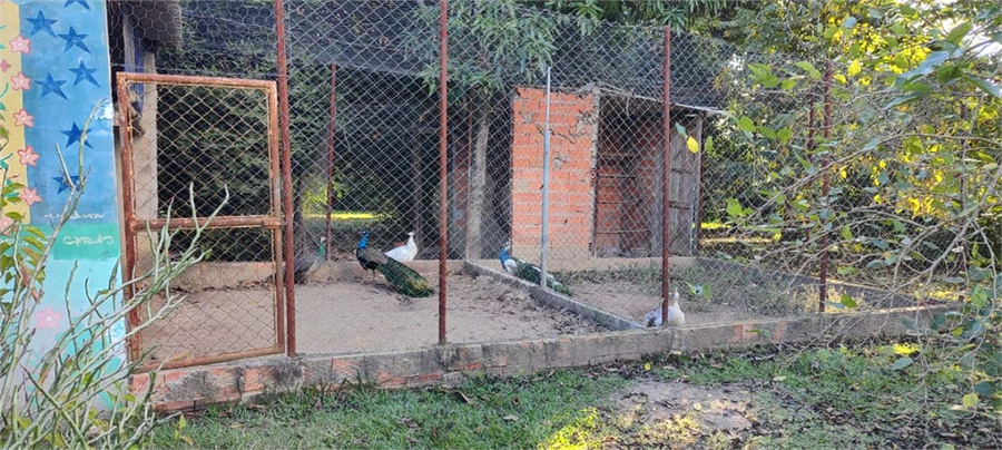 Foto REO1039917