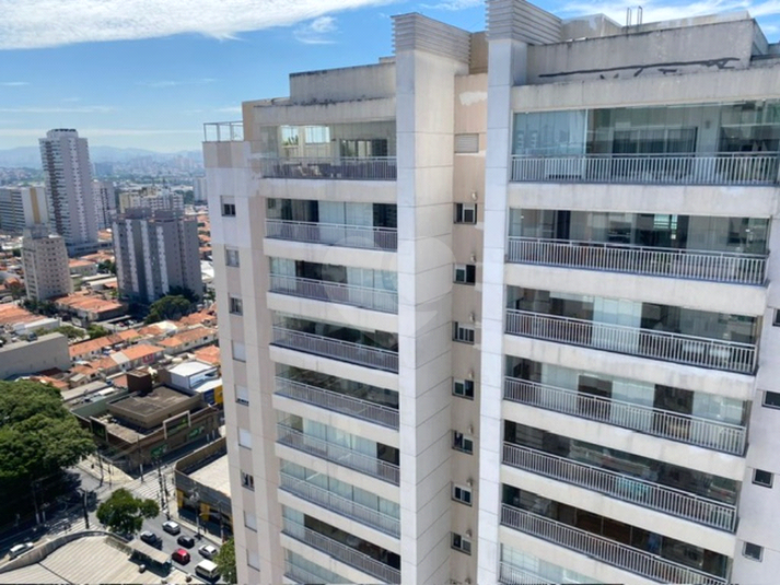 Foto REO1039952