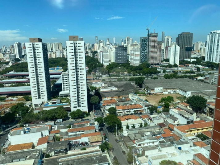 Foto REO1039952