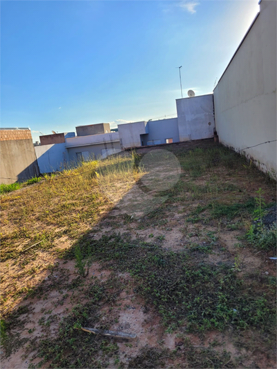 Foto REO1039958