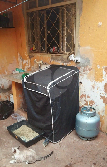 Venda Casa térrea São José Do Rio Preto Eldorado REO1040093 15