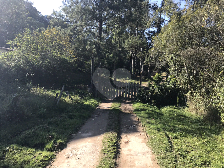 Venda Sítio São Paulo Parelheiros REO1040174 1