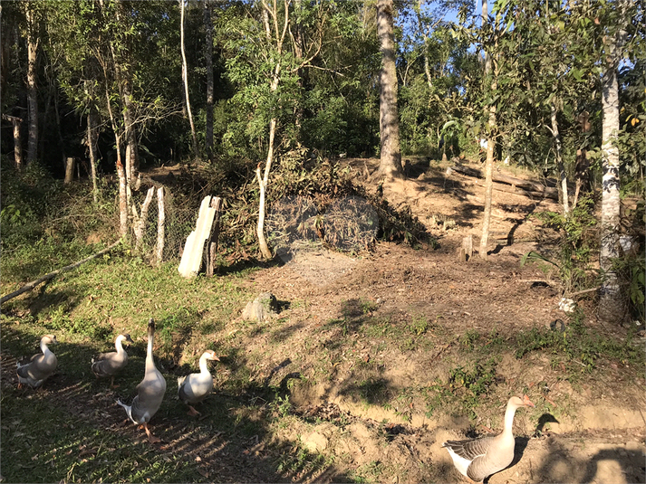 Venda Sítio São Paulo Parelheiros REO1040174 16