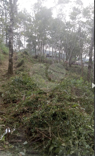 Venda Terreno São Paulo Barragem REO1040180 3