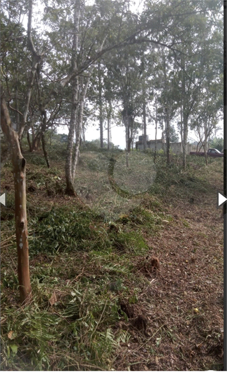 Venda Terreno São Paulo Barragem REO1040180 5