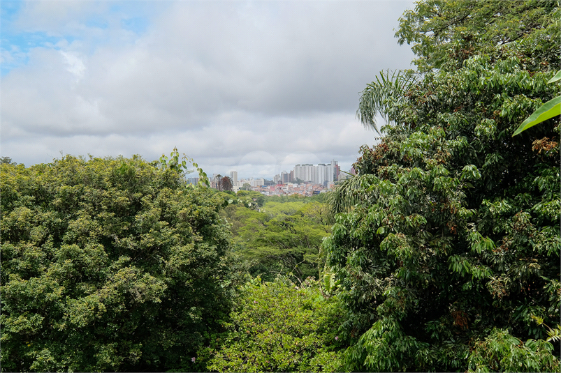 Venda Casa São Paulo Jardim Morumbi REO1040224 39