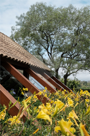 Venda Casa São Paulo Jardim Morumbi REO1040224 46