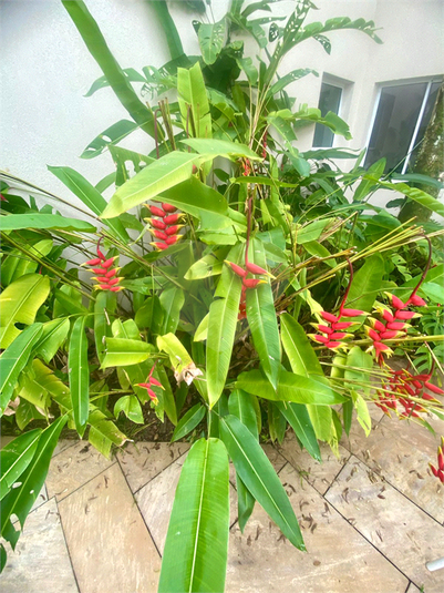 Venda Casa Guarujá Jardim Acapulco REO1040263 35