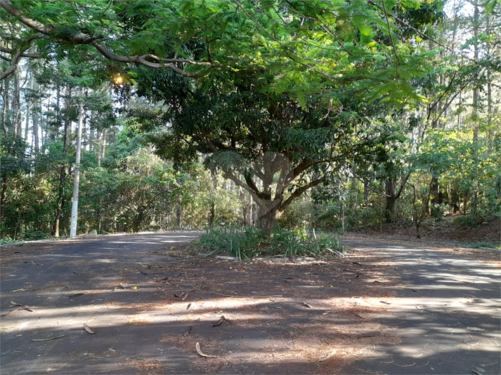 Venda Terreno São Carlos Residencial Samambaia REO1040348 9