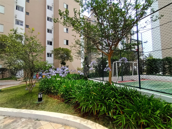 Venda Apartamento São Paulo Campininha REO1040466 25