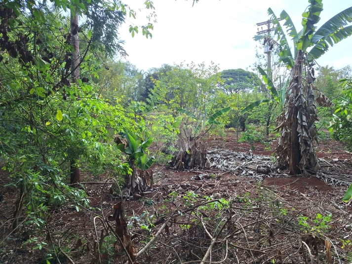 Venda Chácara Não Definido Centro REO1040496 20