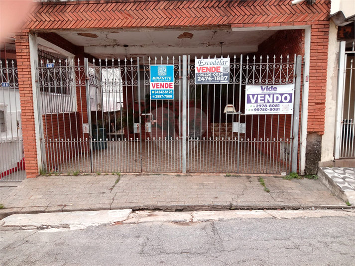 Foto REO1040501