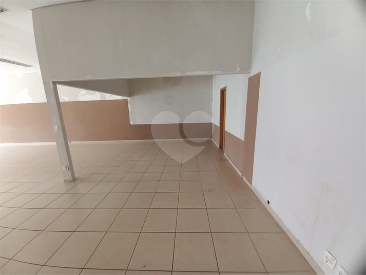 Foto REO1040686