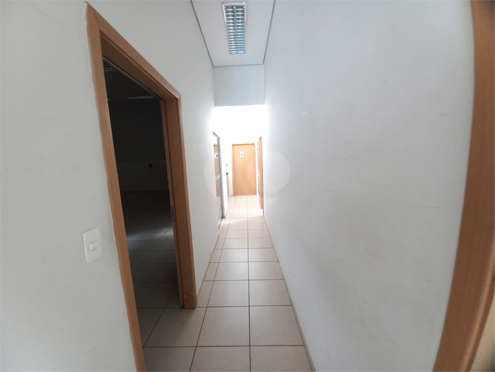 Foto REO1040686