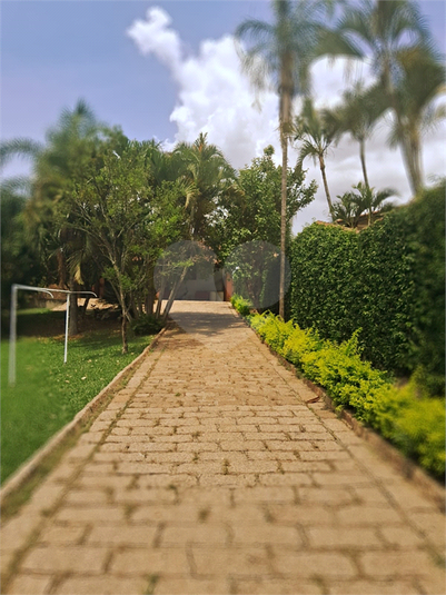 Foto REO1040774