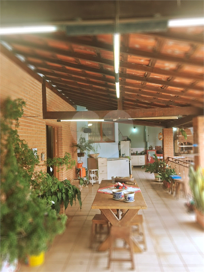 Foto REO1040774