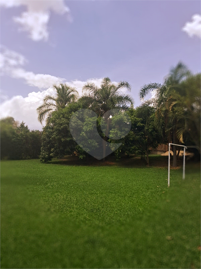 Foto REO1040774