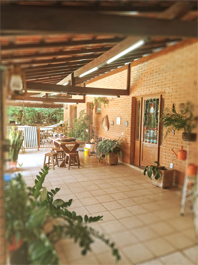 Foto REO1040774
