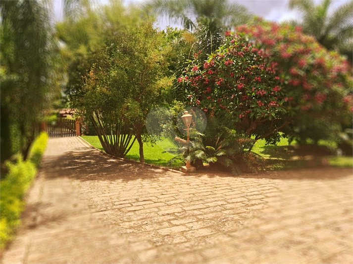 Foto REO1040774