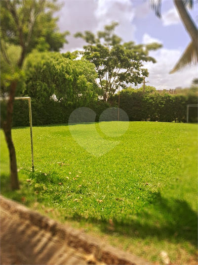 Foto REO1040774