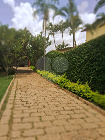 Foto REO1040774