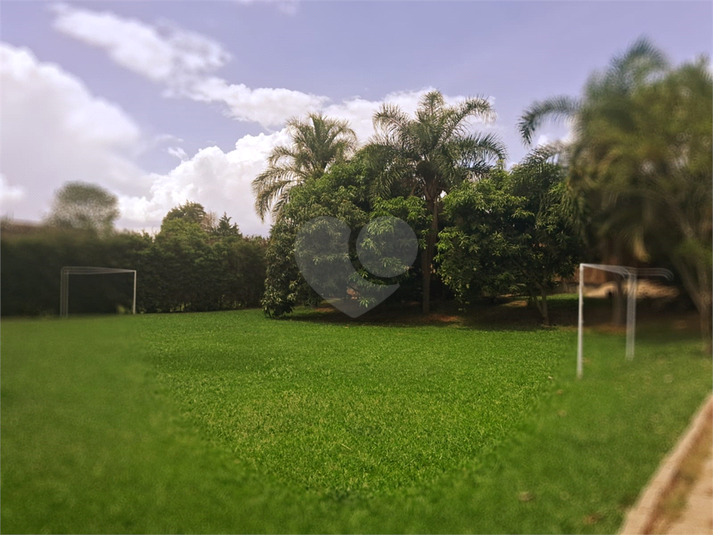 Foto REO1040774