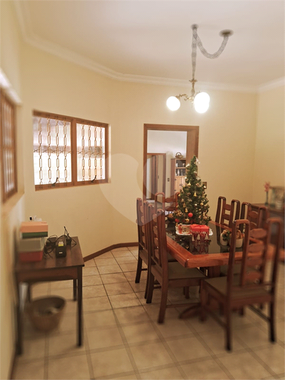 Foto REO1040774
