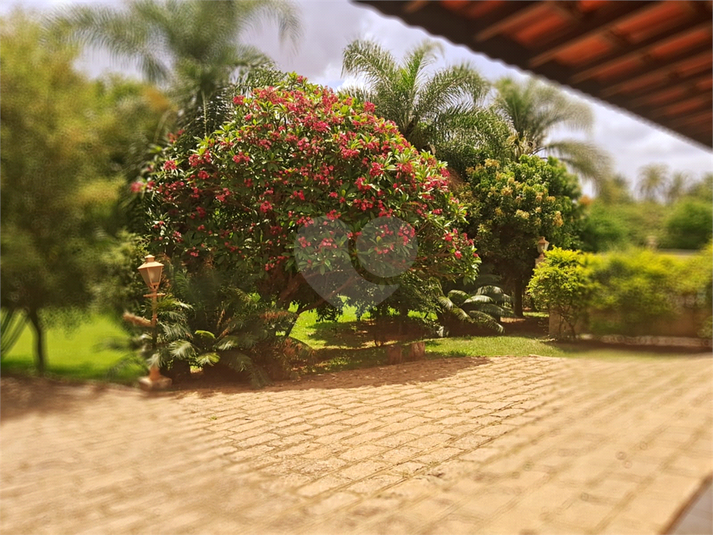 Foto REO1040774
