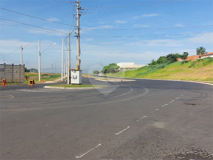 Foto REO1040822