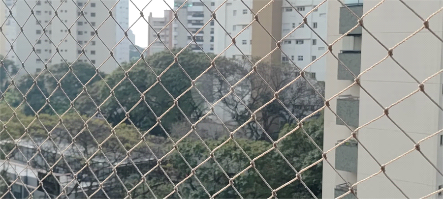 Foto REO1040832