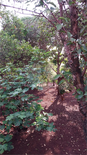 Venda Casa Igaraçu Do Tietê Residencial Park Boa Vista REO1040837 25