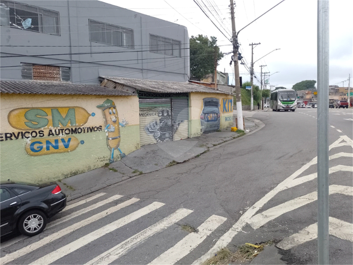 Foto REO1040865