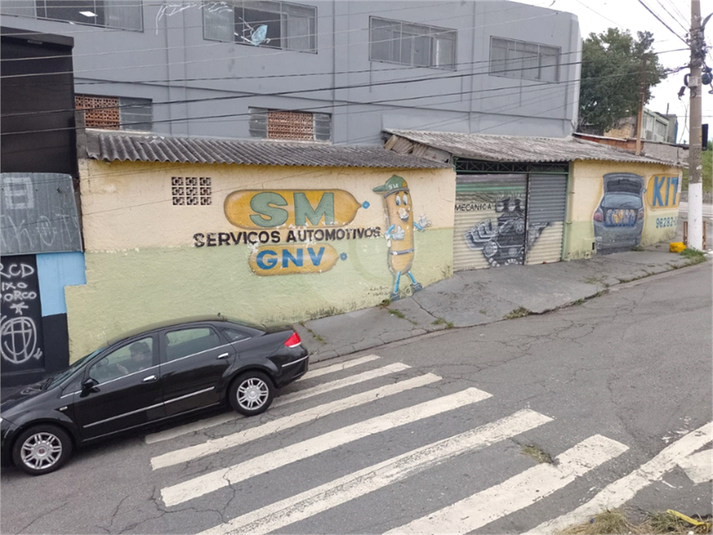 Foto REO1040865