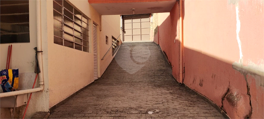 Foto REO1041098