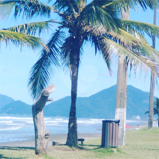 Foto REO1041159