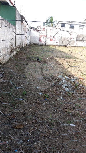 Foto REO1041159