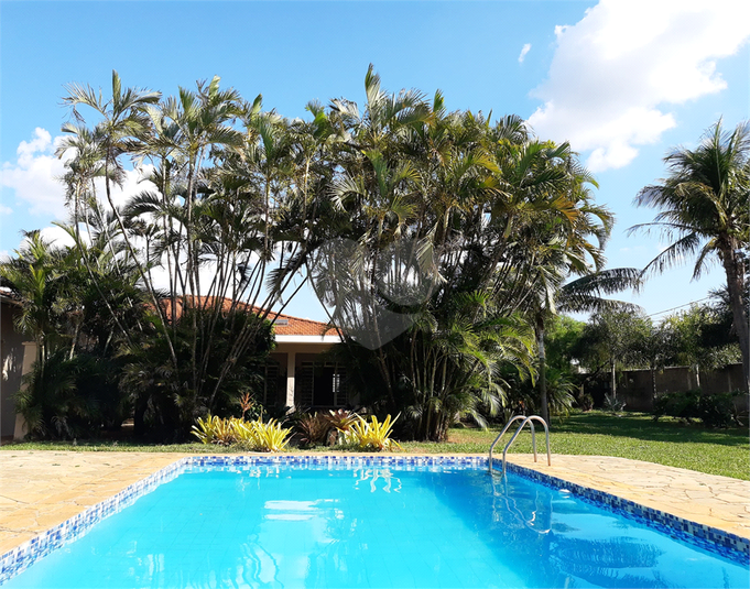 Foto REO1041252