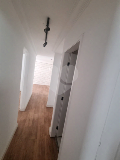 Foto REO1041287
