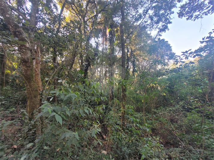 Venda Condomínio Mairiporã Caraguatá REO1041296 7