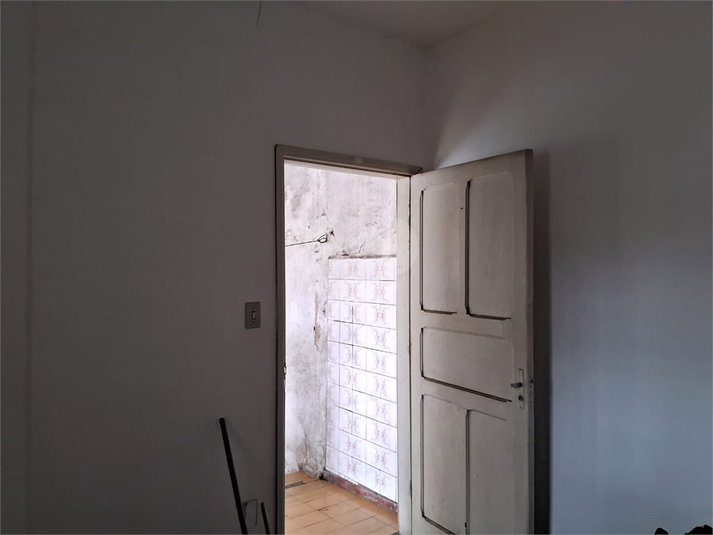 Foto REO1041462