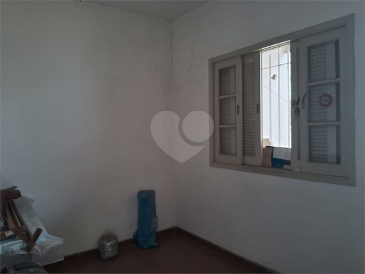 Foto REO1041462